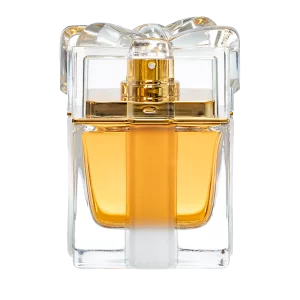 PERFUME FEMININO A WISH 100 ML EDP LONKOOM - OFICIAL